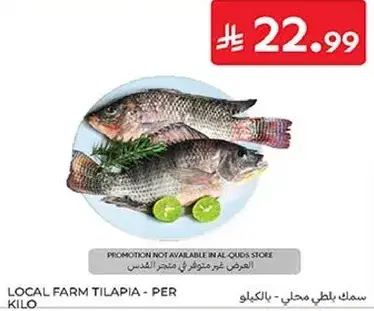 Local farm tilapia - per kilo
