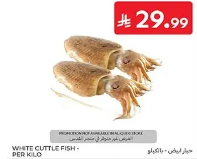 White cuttle fish - per kilo