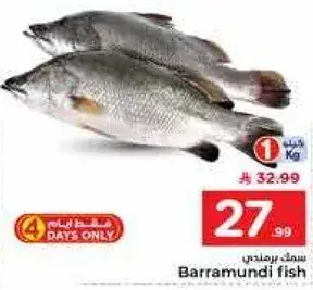 Barramundi fish 1 Kg