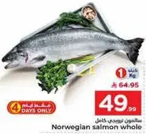 Norwegian salmon whole