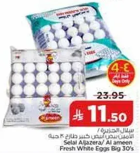 Selal Aljazera Fresh White Eggs Big 30s