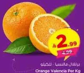 برتقال مالنسيا للكيلو
