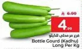 قرع زجاجي (كادهو) طويل بالكيلو