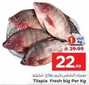 Tilapia Fresh big Per Kg