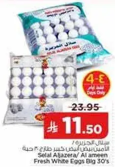 Selal Aljazeera Fresh White Eggs Big 30's