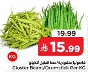 فاصوليا عنقوديه/عصا الطبل للكليو
