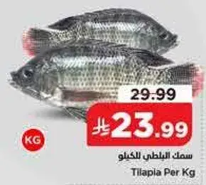 Tilapia Per KG