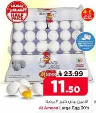 الامين بيض كبير 30 حبه
