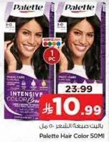 Palette Hair Color 50ml