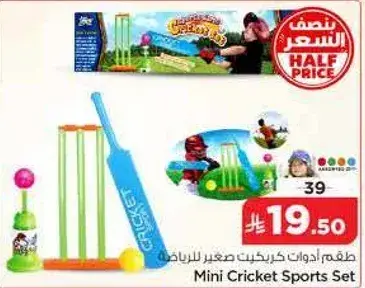 Mini Cricket Sports Set