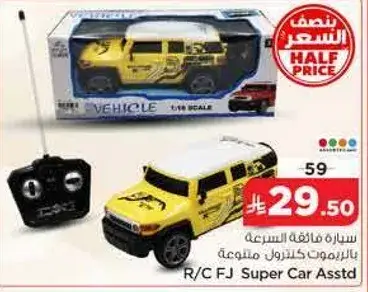 R/C FJ Super Car Assorted