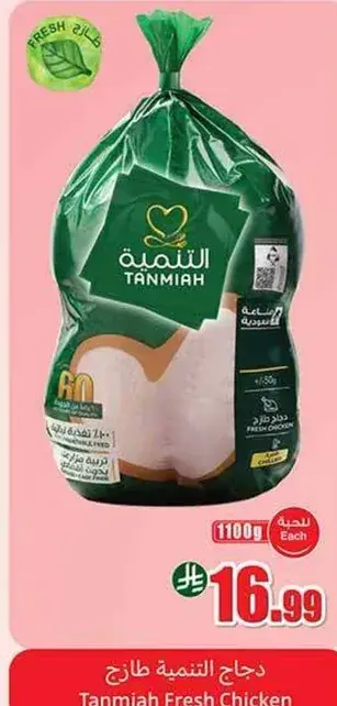 دجاج التنميه طازج
