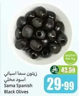 زيتون سما اسباني اسود مخلل