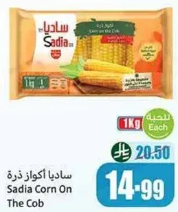 ساديا اكواز ذره