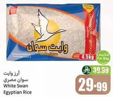 ارز وايت سوان مصري