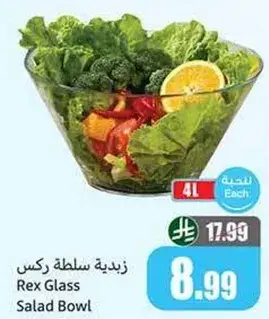 Rex Glass Salad Bowl