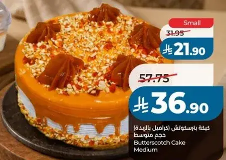 كيكه زيرسكونش (اكمل بالزبده) حجم متوسط