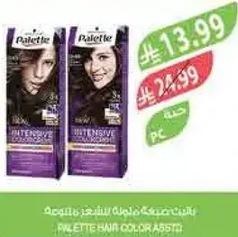 Palette Hair Color