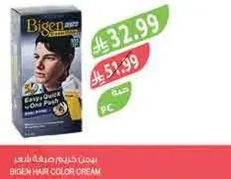 Bigen Hair Color Cream