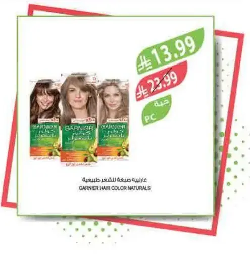 Garnier Hair Color Naturals