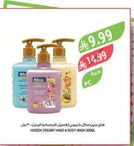 هيجين سايل غسيل اليدين والجسم 300 مل
