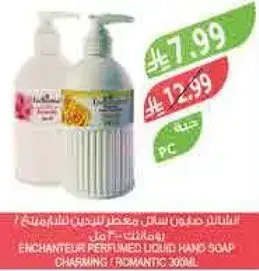 صابون سايل معطر انشانتير 300 مل