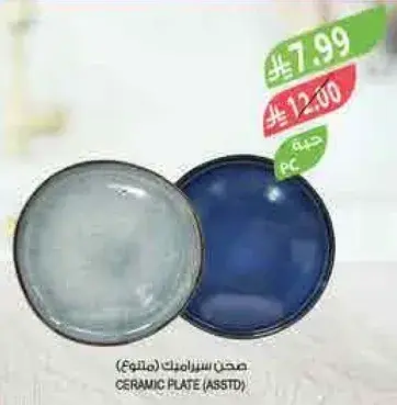 طبق سيراميك (متنوع)