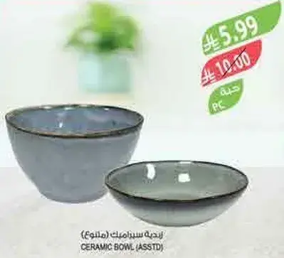 Ceramic bowl assorted.