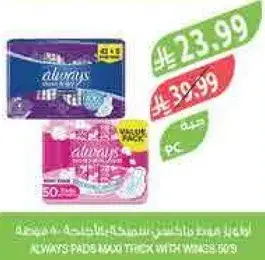 Always Pads Max Thick with Wings 50s