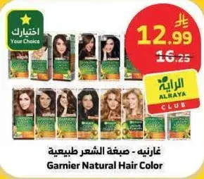 Garnier Natural Hair Color