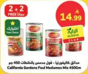 California Gardens Foul Medames Mix 450 Gm