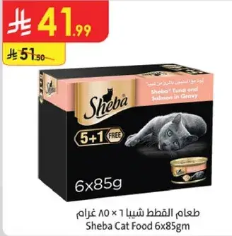 طعام قطط شيا ٦ × ٨٥ غرام