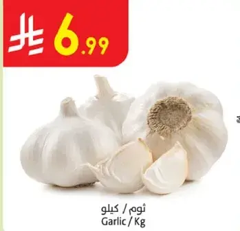 Garlic