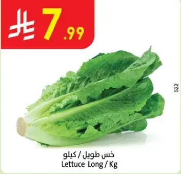Lettuce Long