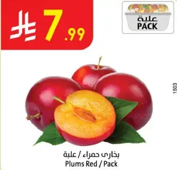 Plums Red / Pack