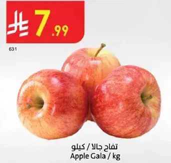 تفاح جالا / كيلو