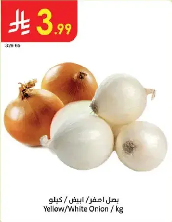 Yellow/White Onion sold by kg.