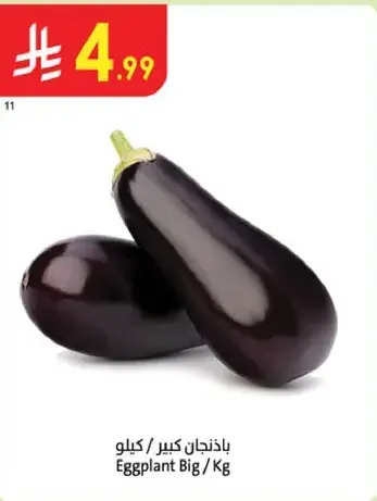 Big Eggplant sold by kg.