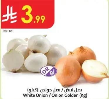 بصل ابيض / كيلو