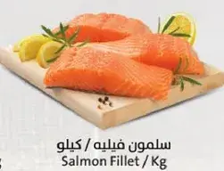 Salmon Fillet