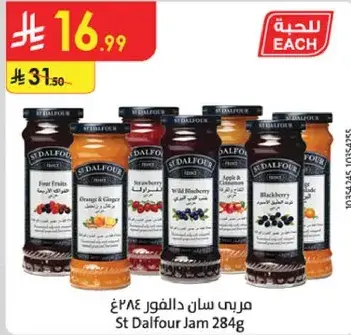 مربي سان دالفور 284 غ