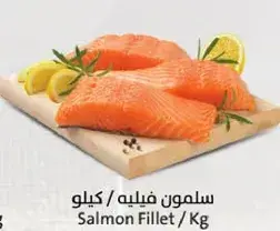 سلمون فيليه /كجم