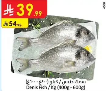 سمك دنيس / كيلو