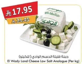 جبنه قليله الدسم الوادي (للكيلو)