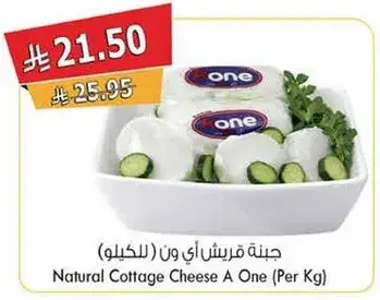 Natural Cottage Cheese A One (Per Kg)