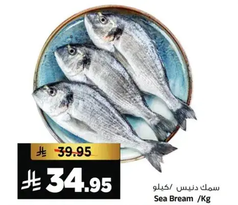 سمك دنيس/كيلو