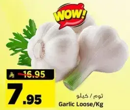 ثوم/كيلو