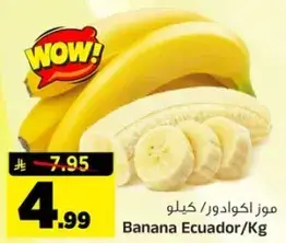 موز اكوادور/كيلو