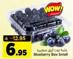 علبه توت ازرق صغيره