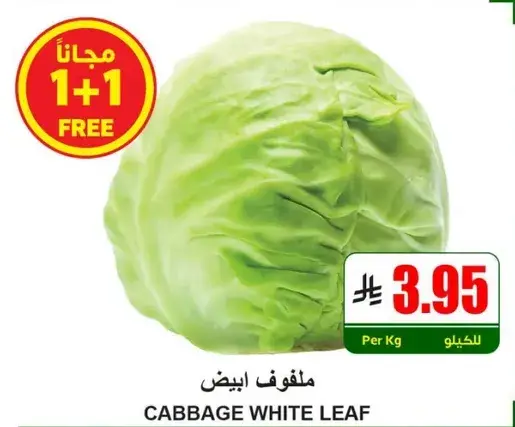 ملفوف ابيض يباع بالكيلو.